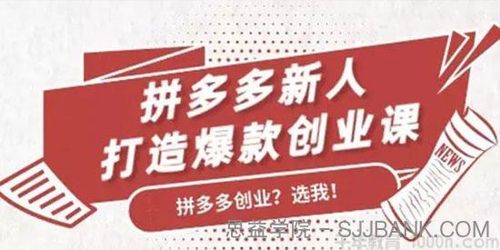 搜外网《拼多多新人打造爆款创业课》快速引流持续出单