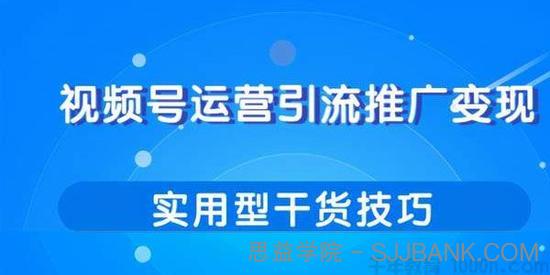 柚子-视频号运营引流推广变现 实用型干货技巧分享课