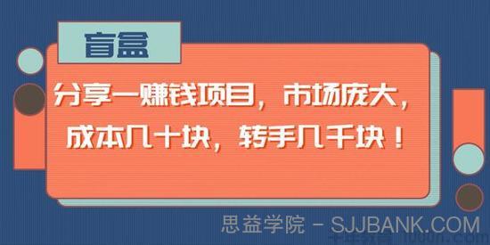 盲盒-分享一个市场庞大的赚钱项目 成本几十块 转手几千块