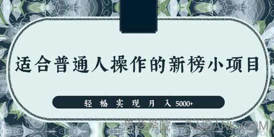 一个适合普通人操作的赚钱项目 新手轻松实现月入5000+