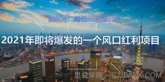 晓林冷门 赚钱36招第27招 2021年即将爆发的一个风口红利项目