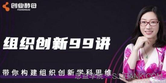 张丽俊-组织创新99讲 带你构建组织创新学科思维