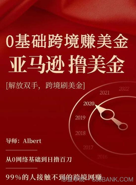 亚马逊撸美金项目，0基础跨境赚美金，解放双手，跨境刷美金【视频课程】