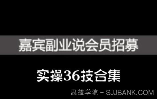 嘉宾副业说实操36技合集，价值1380元