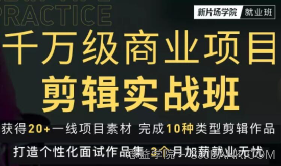 新片场学院千万级商业项目剪辑实战班，做剪辑不在业余（教程+素材）