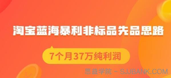 盗坤淘宝蓝海暴利非标品选品思路，7个月37万纯利润，压箱干货分享！【付费文章】