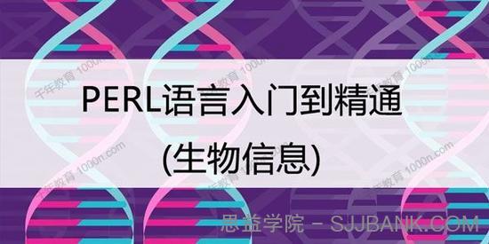 网易云课堂《Perl语言从入门到精通》生物信息