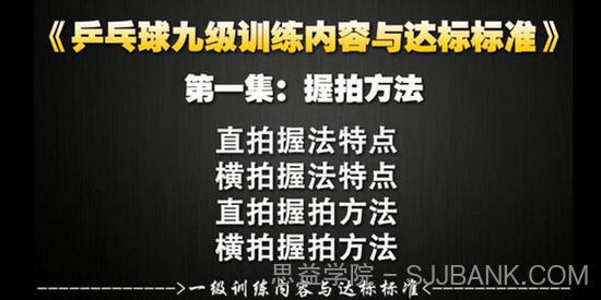 乒乓球业余一级到专业九级训练教学与达标标准