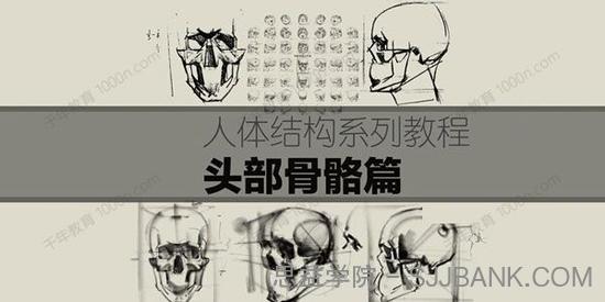 祝凯《人体结构系列素描课程》头部骨骼