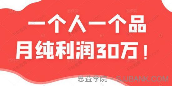 付费文章：一个人一个品月纯利润30万的蓝海电商经典案例