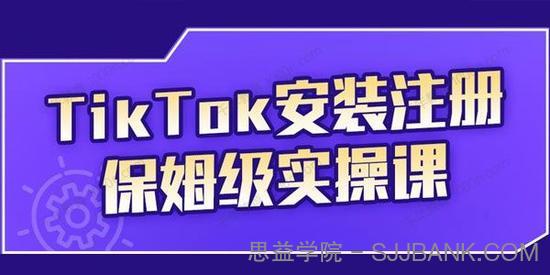 疯人院《TikTok安装注册保姆级实操课》