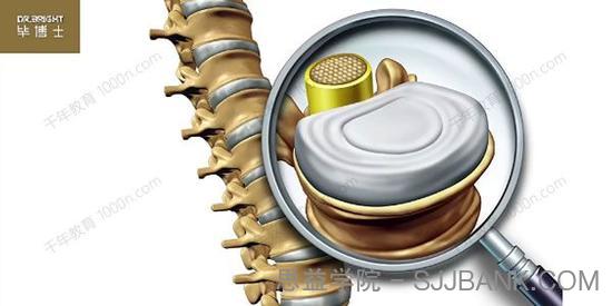 毕义明《12节椎间盘突出康复课》