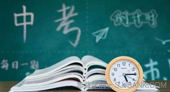 中考数学42个重难考点 分类掌握稳稳110+