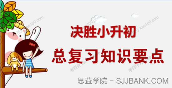 小升初总复习知识要点电子文档