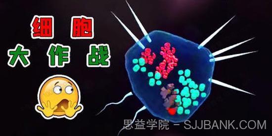 少年得到科普剧《人体细胞大作战》