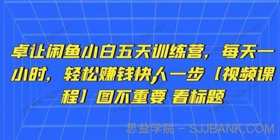 卓让《闲鱼小白五天训练营》轻松赚钱快人一步