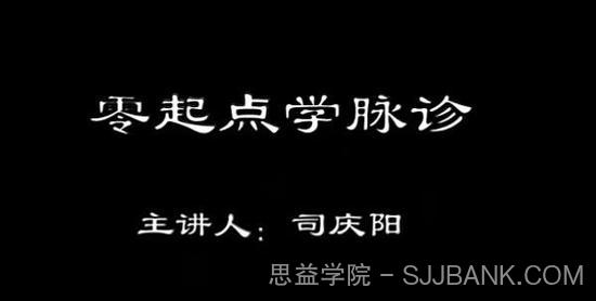 司庆阳《零起点学脉诊》中医脉诊自学零基础入门