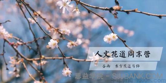 谷雨-东方花道导师插花教程《人文花道美学营》