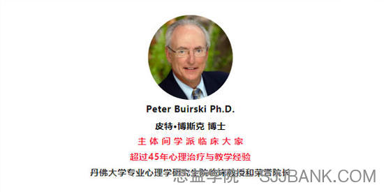 Peter Buirski-主体间心理治疗理论与个案演示12讲