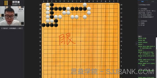 王盛强-爱棋道春季i4长期班【围棋32课时+4课复习课】