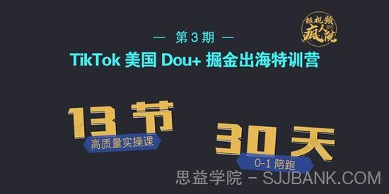 疯人院 TikTok Dou+掘金特训营（第三期）