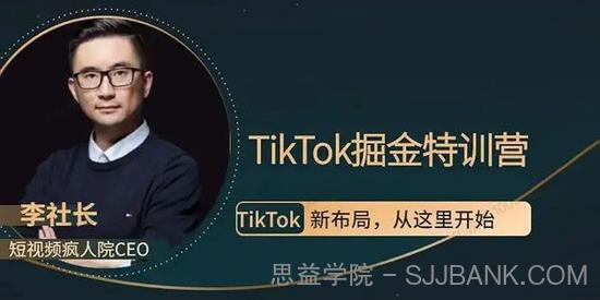 疯人院 TikTok Dou+掘金特训营（第二期）