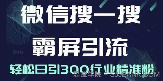 微信搜一搜霸屏引流课 打造被动精准引流系统