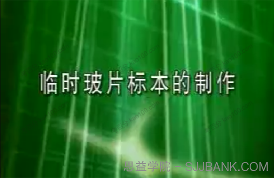 初中生物实验视频