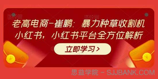 老高电商崔鹏《暴力种草收割机小红书》全方位解析