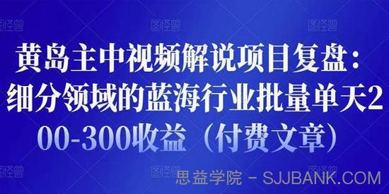 黄岛主《中视频解说项目复盘》细分领域的蓝海行业