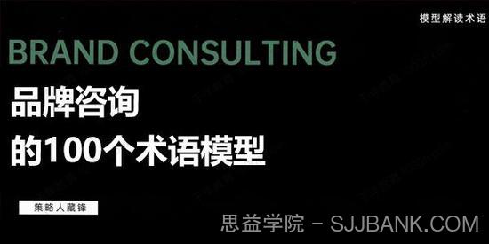 藏锋《品牌咨询的100个术语模式》