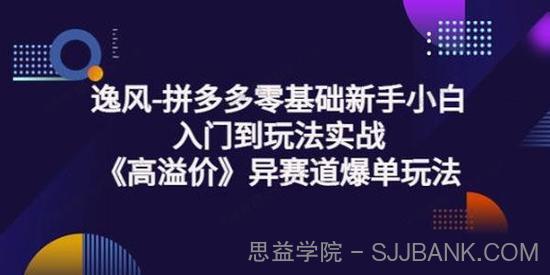 逸风 拼多多零基础《高溢价》异赛道爆单玩法实操课