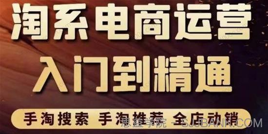 淘系电商入门到精通手淘搜索 手淘推荐全店动销