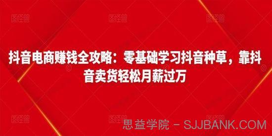 抖音电商赚钱全攻略：零基础学习抖音种草卖货