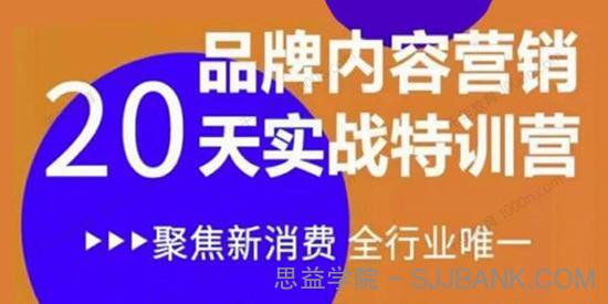 《内容营销实操特训营》20天让你营销能力脱胎换骨 .