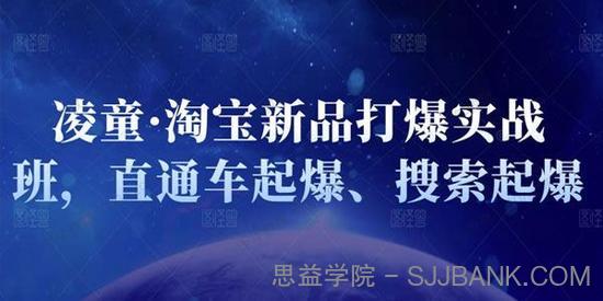 凌童《淘宝新品打爆实战班》直通车起爆、搜索起爆