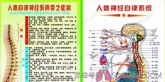 私人健身教练常用图表