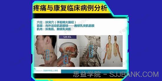 案例汇编：疼痛与康复临床病例分析