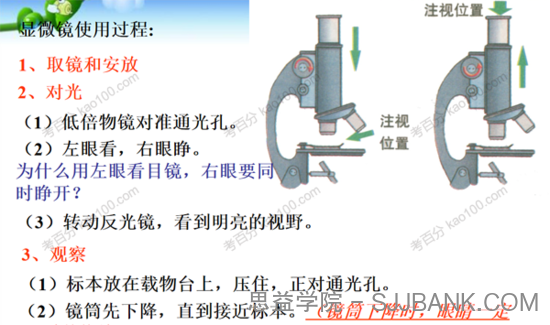 中考生物复习PPT课件