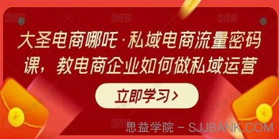 大圣电商哪吒《电商企业私域电商流量密码课》