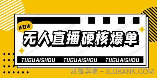 大飞《无人直播硬核爆单技术》玩转无人直播暴利躺赚