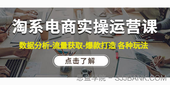 淘系电商实操运营课：数据分析流量获取爆款打造各种玩法