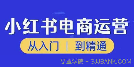 顽石小红书电商高阶运营课程 从入门到精通