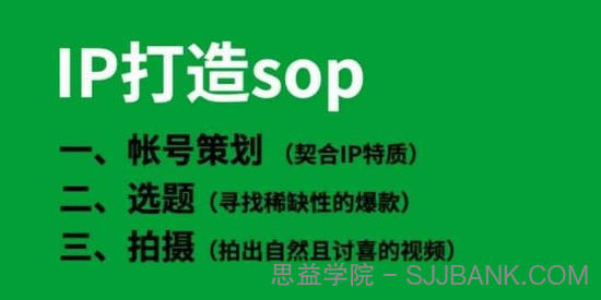 瑶瑶《IP打造SOP自然流IP孵化》系统掌握IP孵化全流程