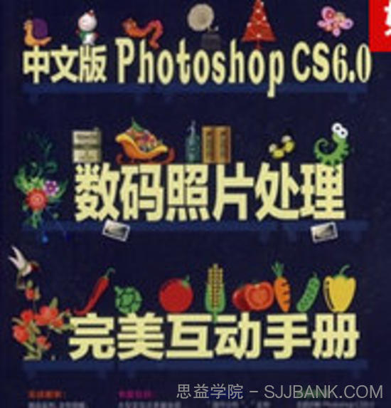 中文版Photoshop CS6.0数码照片处理完美互动手册