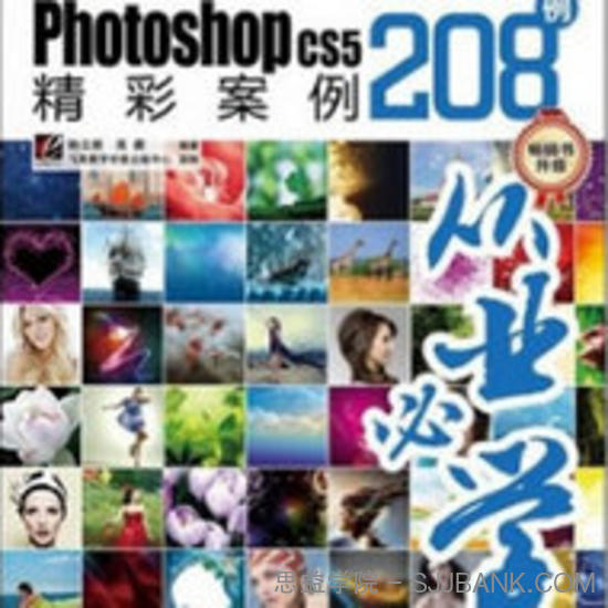 一定要会的Photoshop CS5精彩案例208例