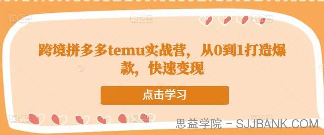 跨境拼多多temu实战营，从0到1打造爆款，快速变现