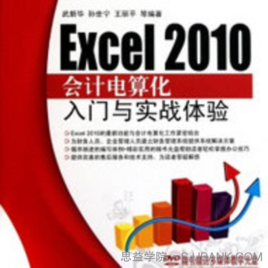 Excel2010会计电算化入门与实战体验