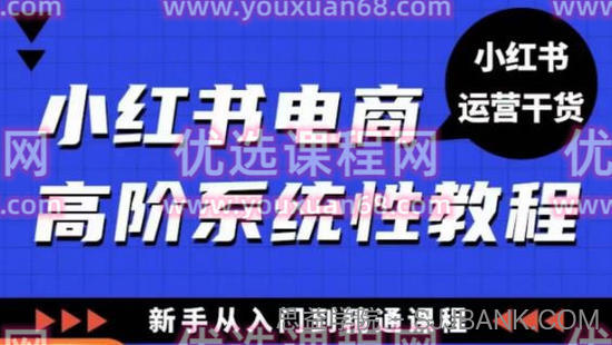 小红书电商高阶系统教程，新手从入门到精通系统课