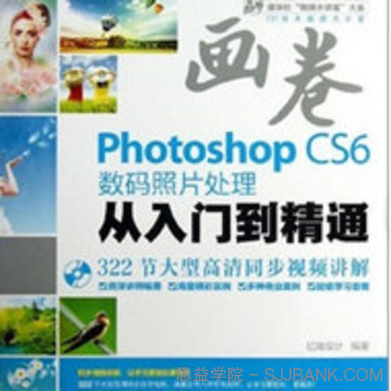 Photoshop CS6平面设计从入门到精通